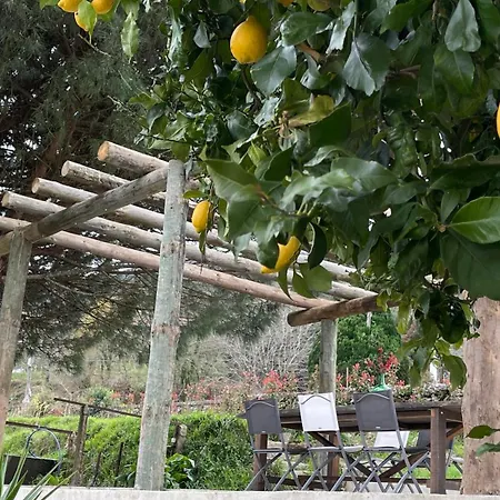 Βίλα Quinta Da Luena *