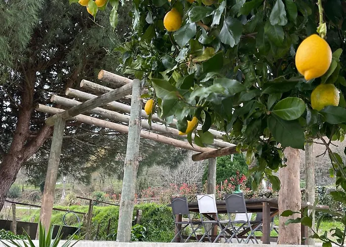 Villa Quinta Da Luena *